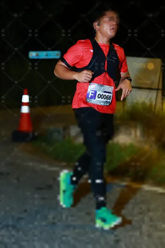Photo ID 8429838