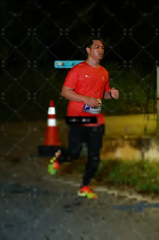 Photo ID 8429898