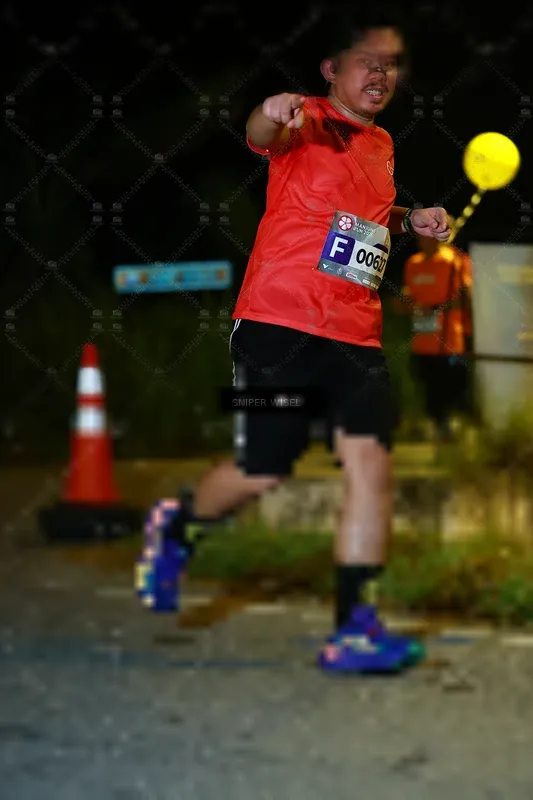 Photo ID 8430337