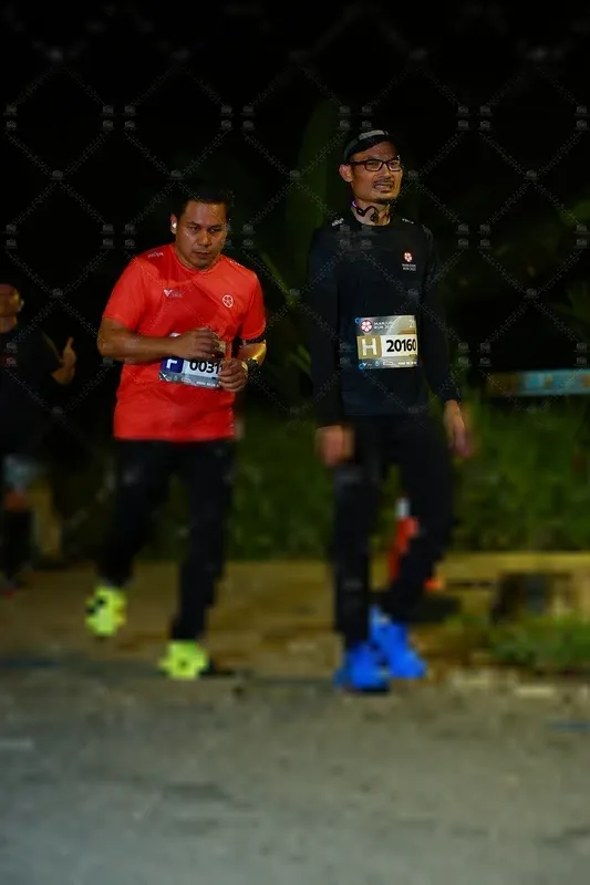 Photo ID 8430674