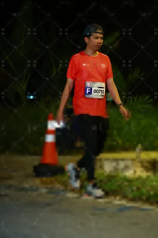 Photo ID 8430704