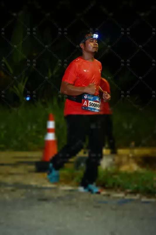 Photo ID 8430756