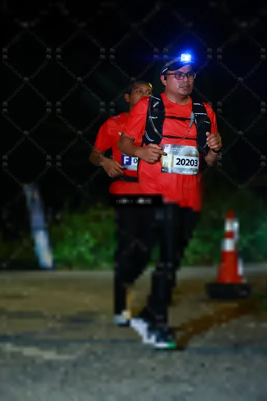 Photo ID 8431009