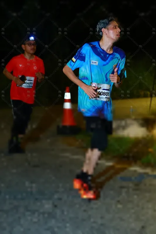 Photo ID 8431114