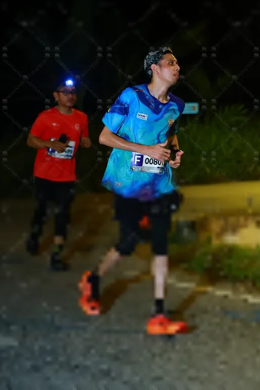 Photo ID 8431115