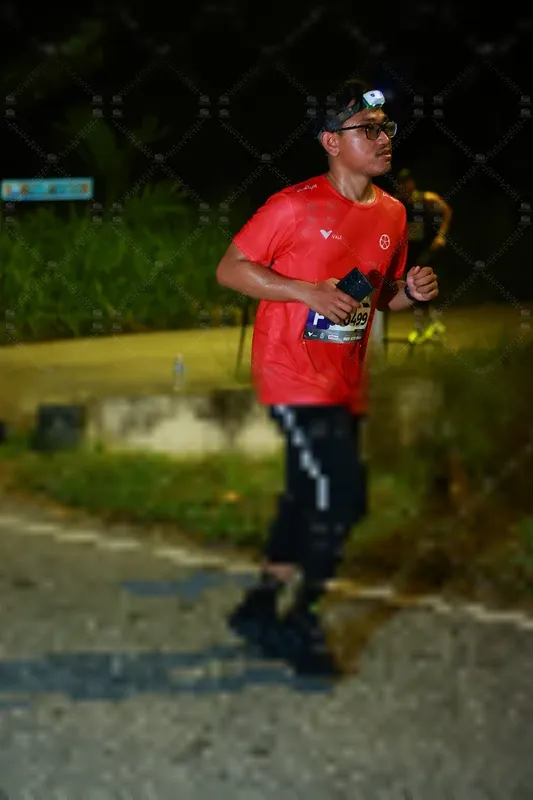 Photo ID 8431121