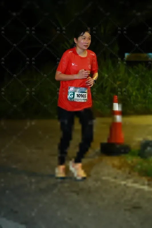Photo ID 8431125
