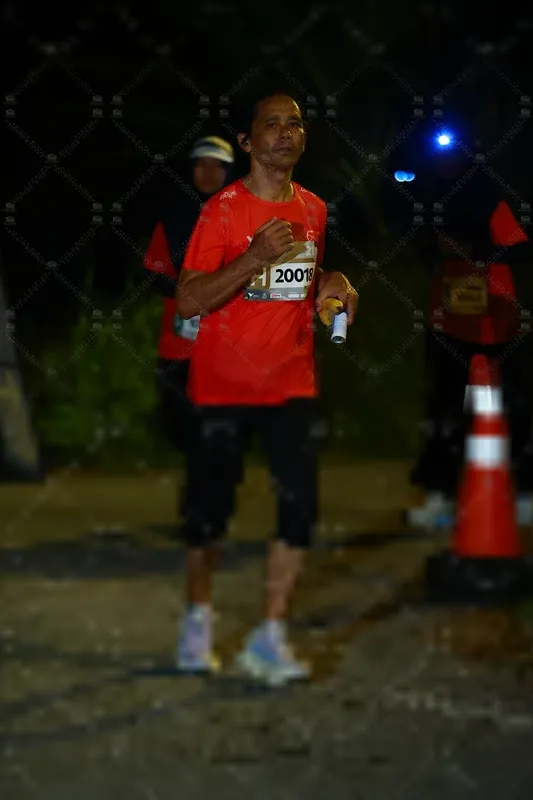Photo ID 8431203