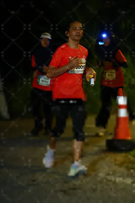 Photo ID 8431204