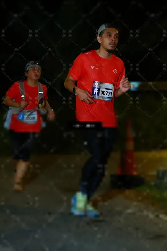 Photo ID 8431281