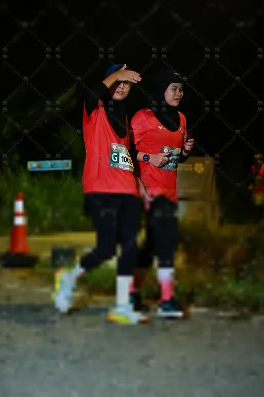 Photo ID 8431317
