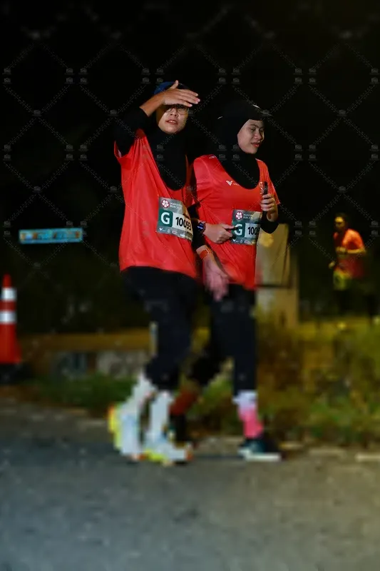 Photo ID 8431319