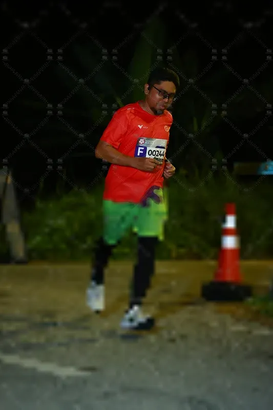 Photo ID 8431326