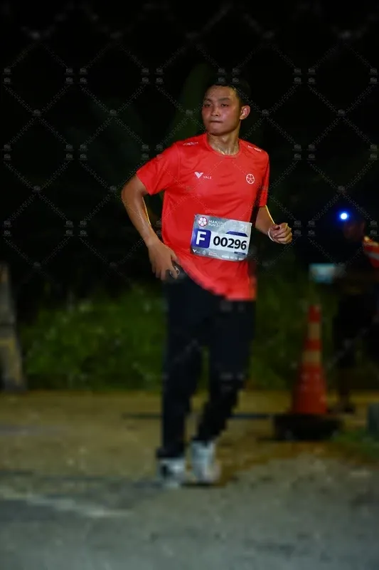 Photo ID 8431342