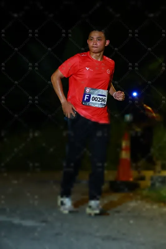 Photo ID 8431346