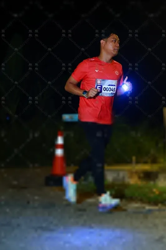 Photo ID 8431374