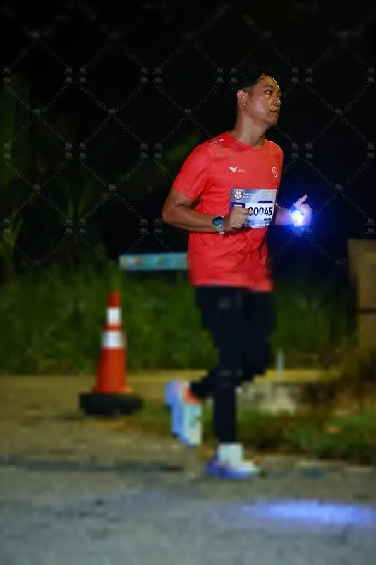 Photo ID 8431376