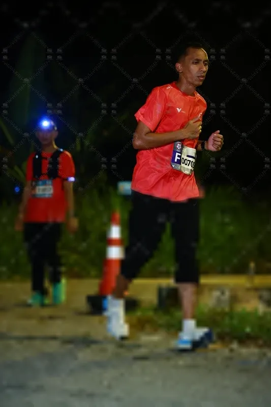 Photo ID 8431404
