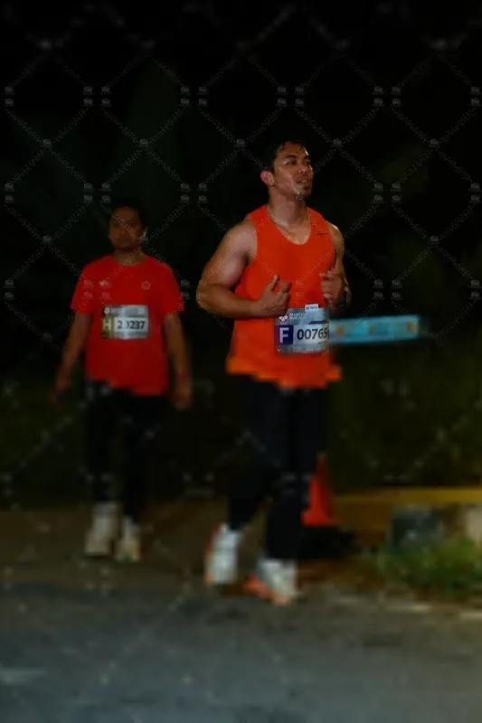 Photo ID 8431413