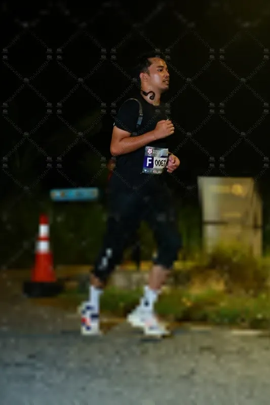 Photo ID 8431493