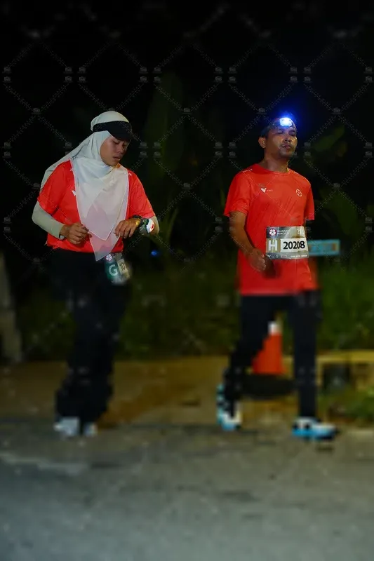 Photo ID 8431549