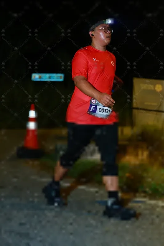Photo ID 8431600