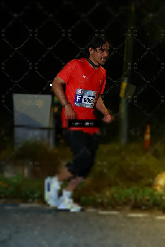 Photo ID 8431787