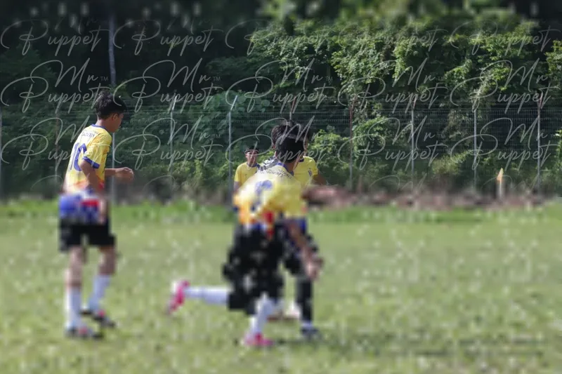 Photo ID 8433125