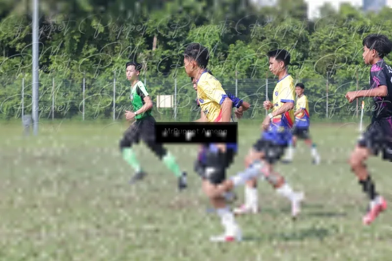 Photo ID 8433217