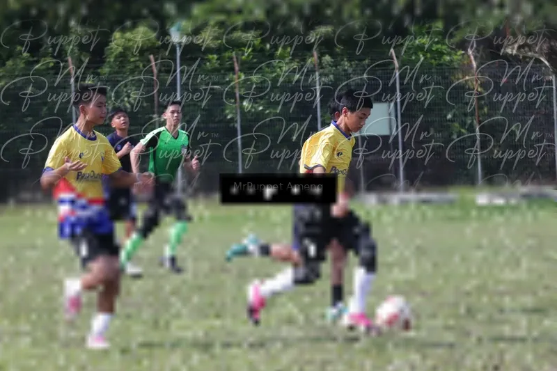 Photo ID 8433244