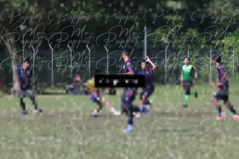 Photo ID 8433328