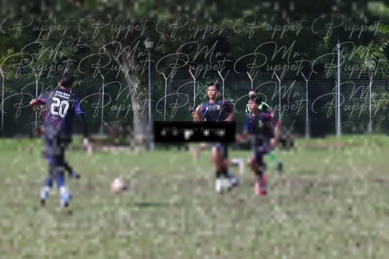 Photo ID 8433334