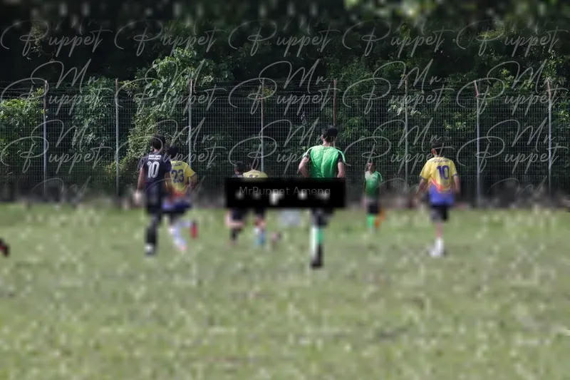 Photo ID 8433358