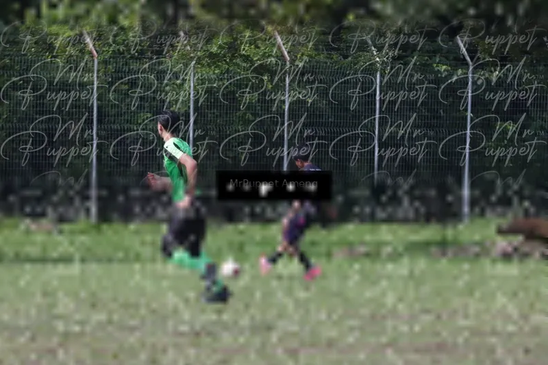Photo ID 8433370