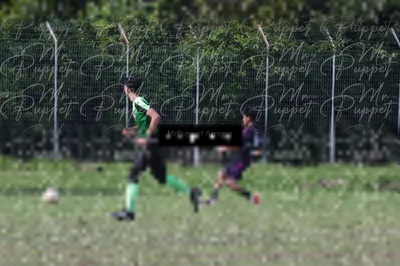Photo ID 8433381