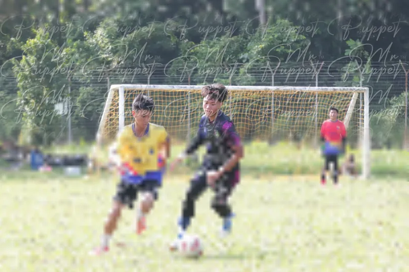 Photo ID 8433437