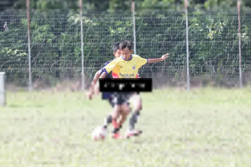 Photo ID 8433474