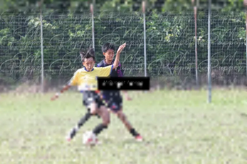 Photo ID 8433484