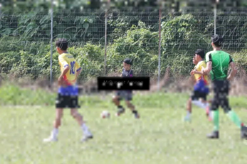 Photo ID 8433511