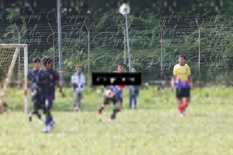 Photo ID 8433516