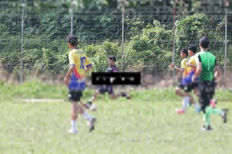 Photo ID 8433518