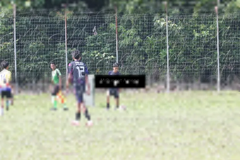 Photo ID 8433543