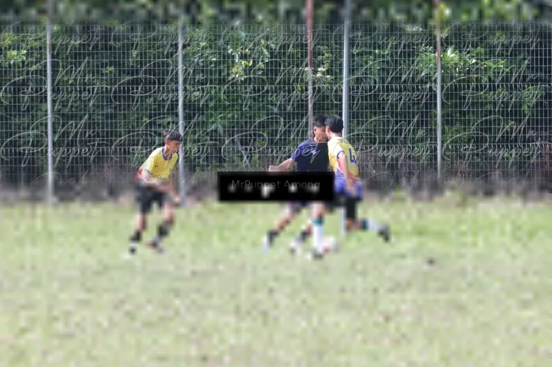 Photo ID 8433566