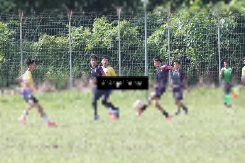Photo ID 8433567