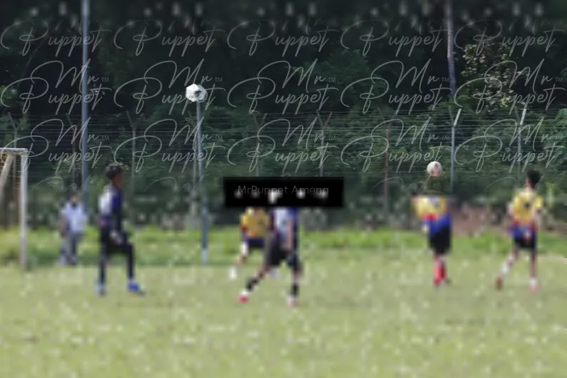 Photo ID 8433572
