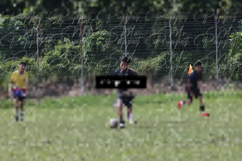 Photo ID 8433668