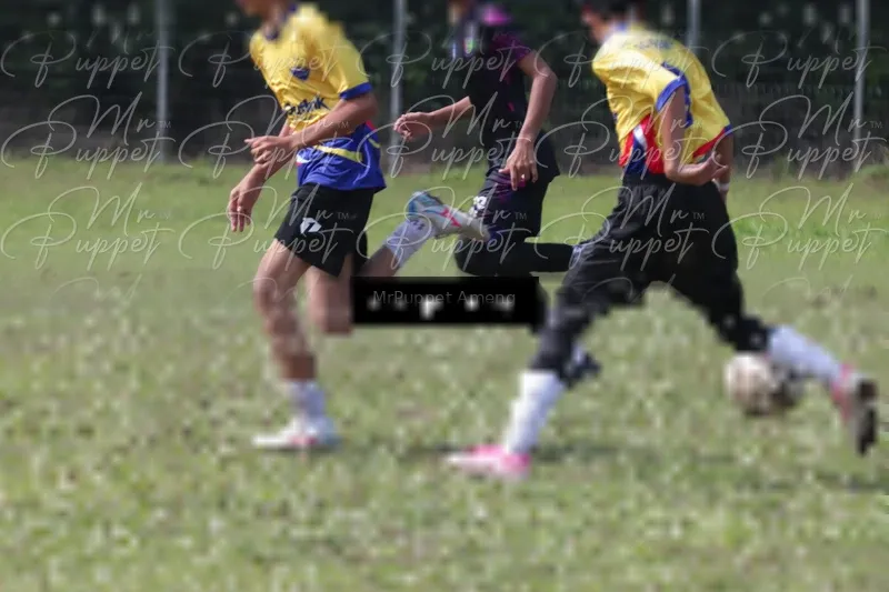 Photo ID 8433805