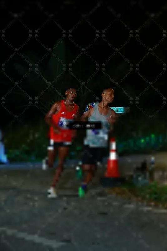 Photo ID 8439458
