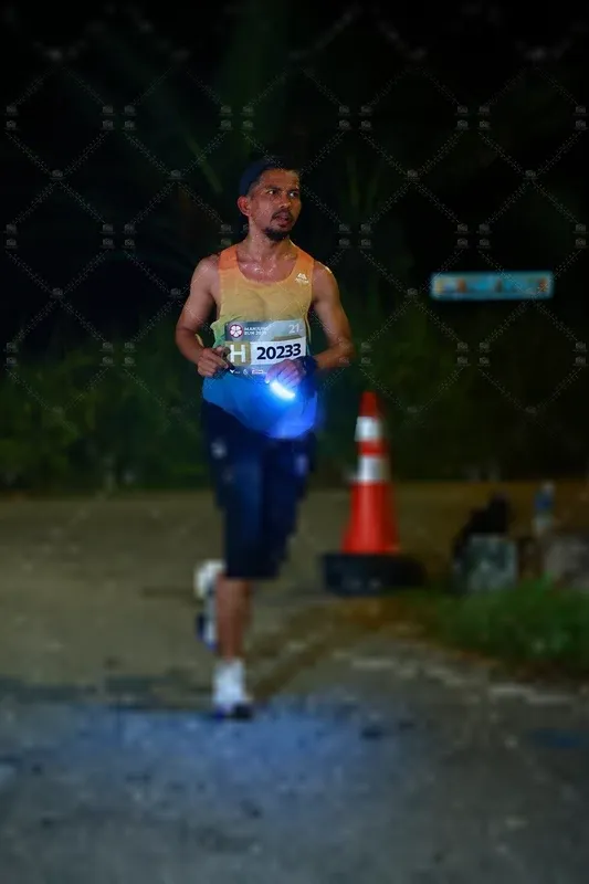 Photo ID 8439686