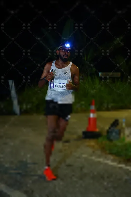 Photo ID 8439865